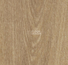 Кварцвиниловые полы Forbo Allura Click 60284CL5 natural giant oak фото 1 | FLOORDEALER
